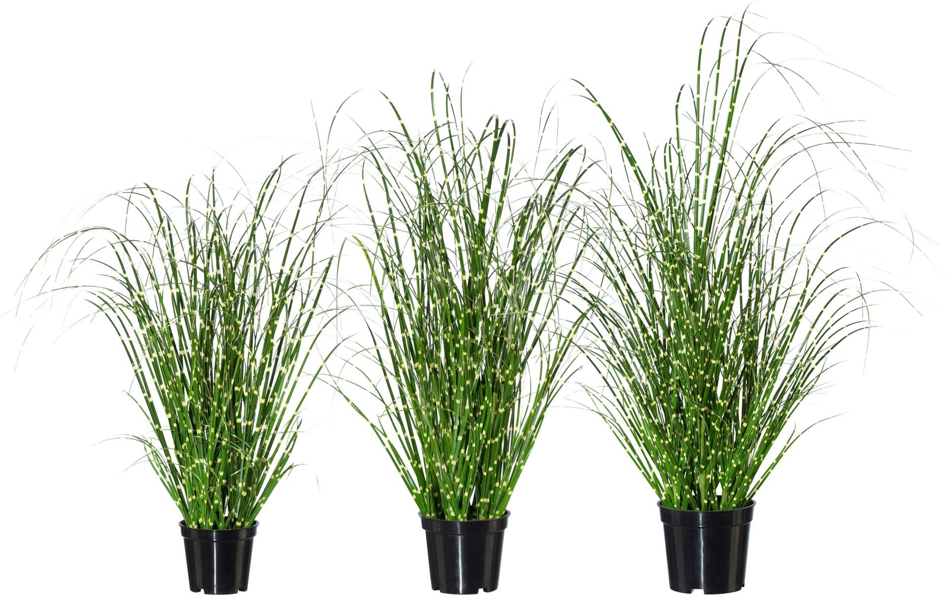 Creativ green Kunstgras »Miscanthus« von Creativ green