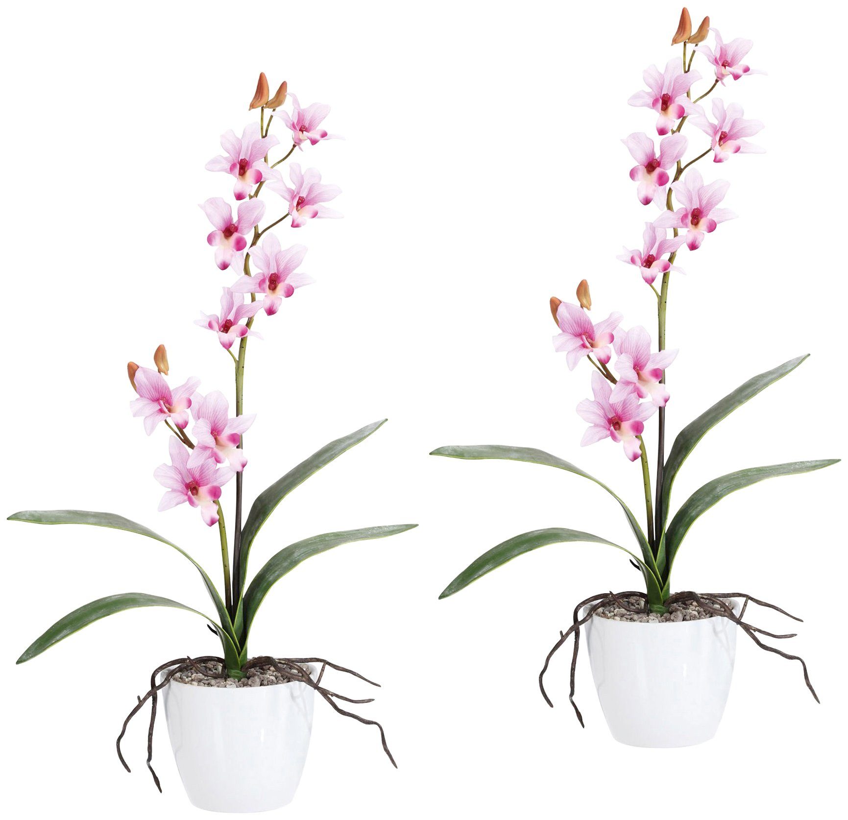 Creativ green Kunstpflanze »Orchidee Dendrobie«, im Keramiktopf von Creativ green