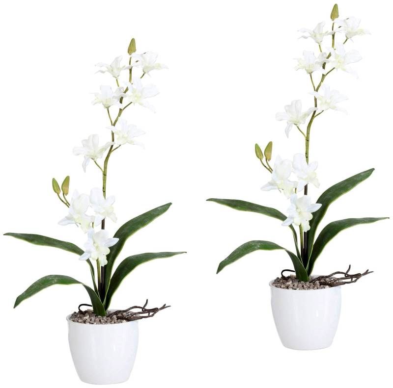 Creativ green Kunstpflanze »Orchidee Dendrobie«, im Keramiktopf von Creativ green