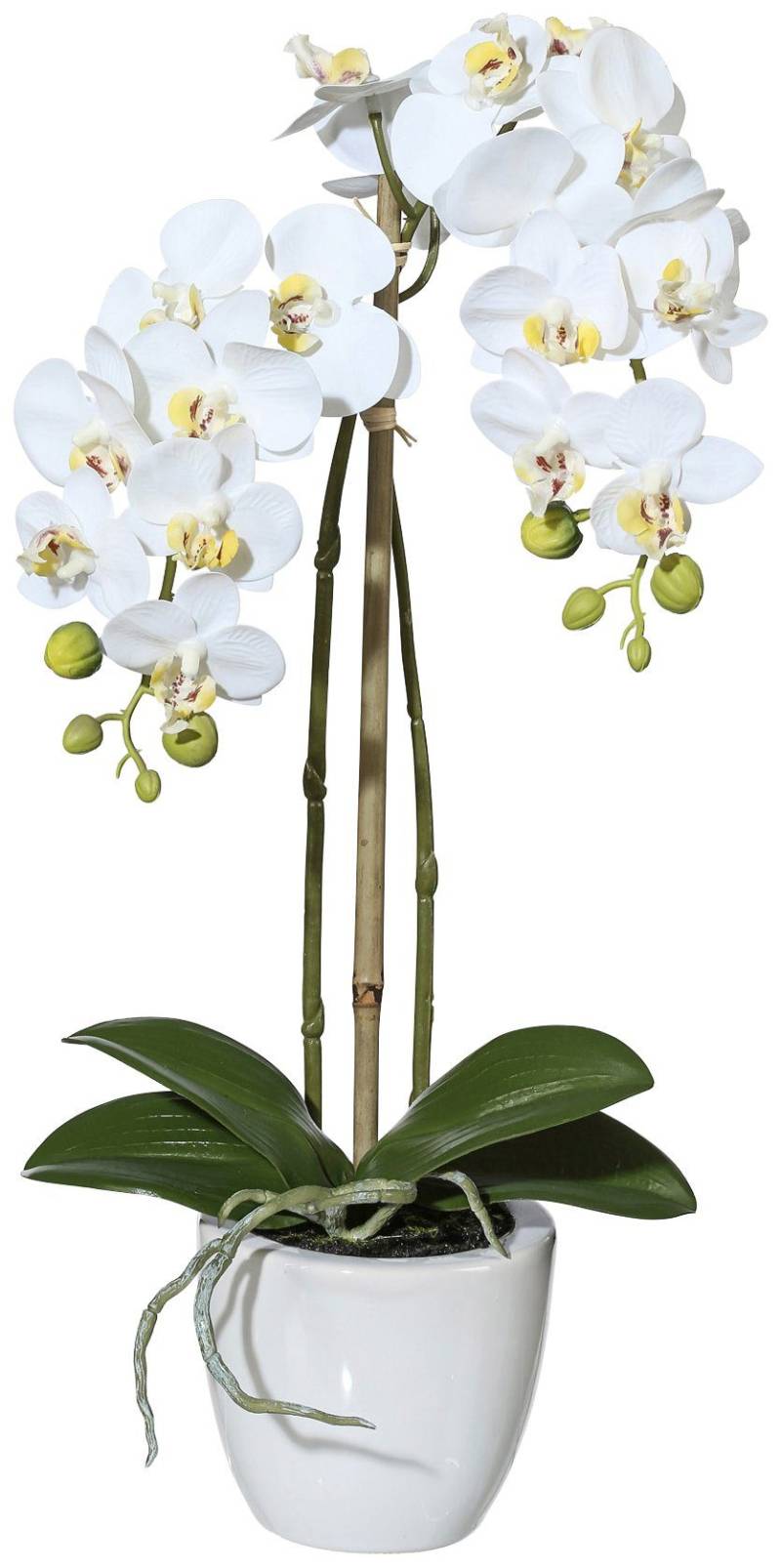 Creativ green Kunstpflanze »Orchidee Phalaenopsis«, im Keramiktopf von Creativ green