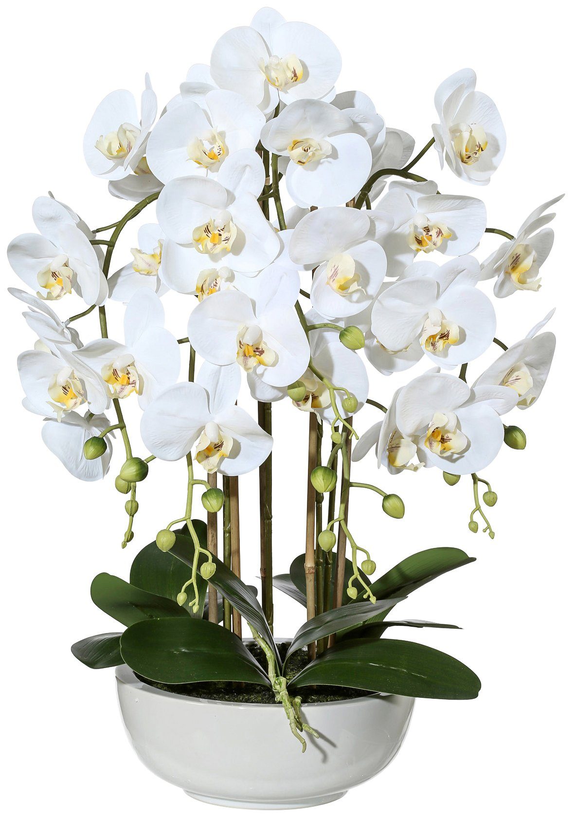 Creativ green Kunstpflanze »Orchidee Phalaenopsis«, in Keramikschale von Creativ green