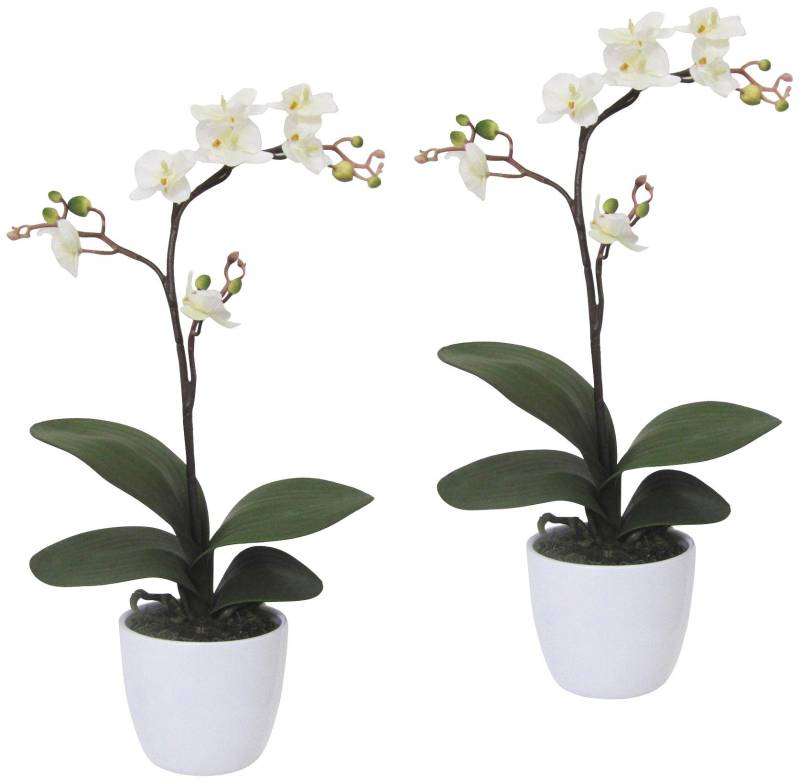Creativ green Kunstpflanze »Orchidee Phalaenopsis«, im Keramiktopf von Creativ green