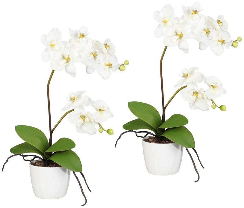 Creativ green Kunstpflanze »Orchidee Phalaenopsis«, im Keramiktopf von Creativ green