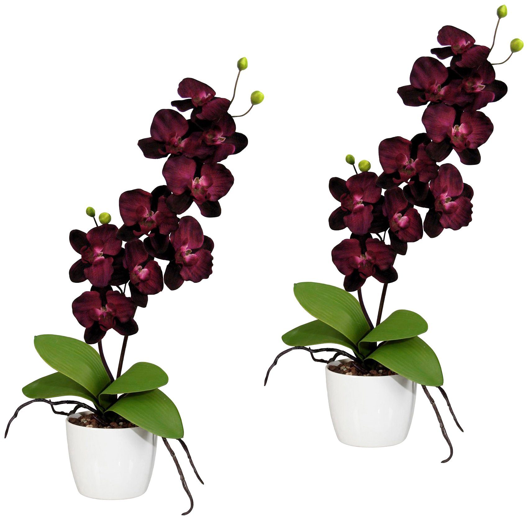 Creativ green Kunstpflanze »Orchidee Phalaenopsis«, im Keramiktopf von Creativ green