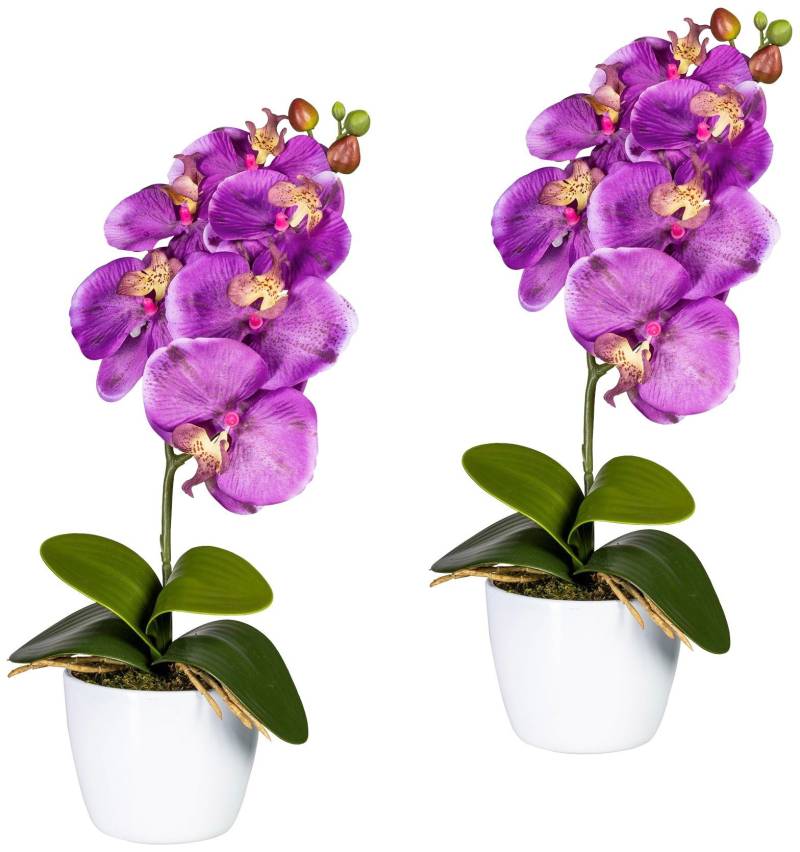 Creativ green Kunstpflanze »Orchidee Phalaenopsis«, im Keramiktopf von Creativ green