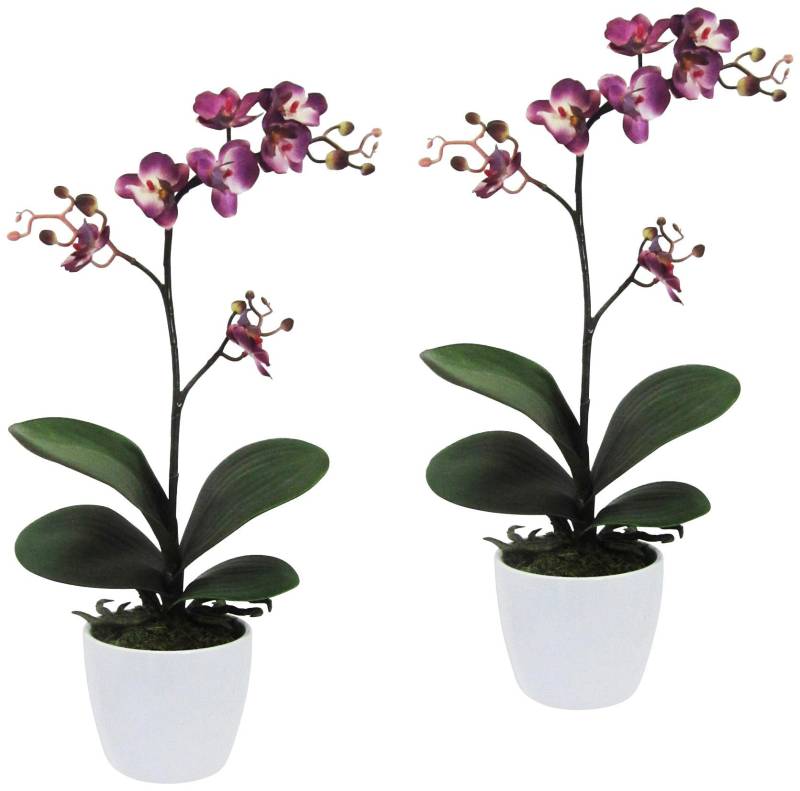 Creativ green Kunstpflanze »Orchidee Phalaenopsis«, im Keramiktopf von Creativ green