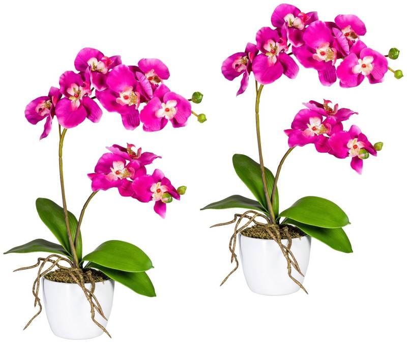 Creativ green Kunstpflanze »Orchidee Phalaenopsis«, im Keramiktopf von Creativ green