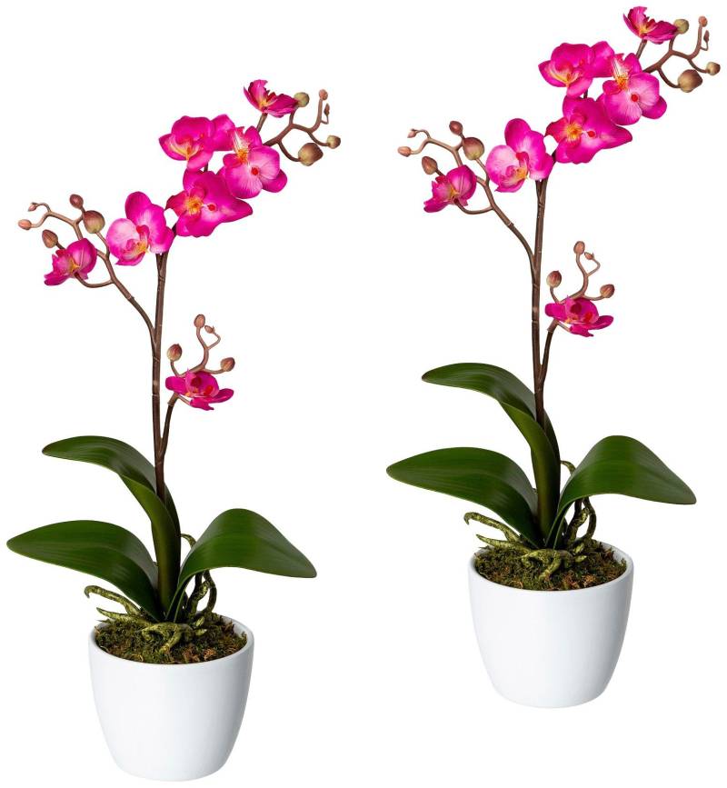 Creativ green Kunstpflanze »Orchidee Phalaenopsis«, im Keramiktopf von Creativ green