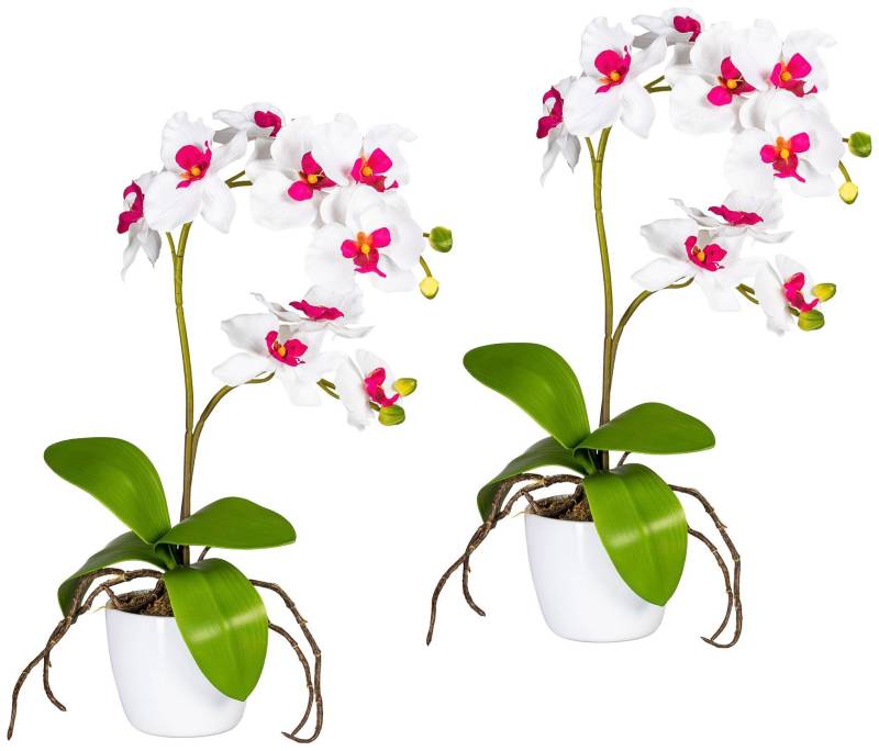 Creativ green Kunstpflanze »Orchidee Phalaenopsis«, im Keramiktopf von Creativ green