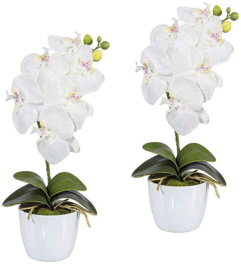 Creativ green Kunstpflanze »Orchidee Phalaenopsis«, im Keramiktopf von Creativ green