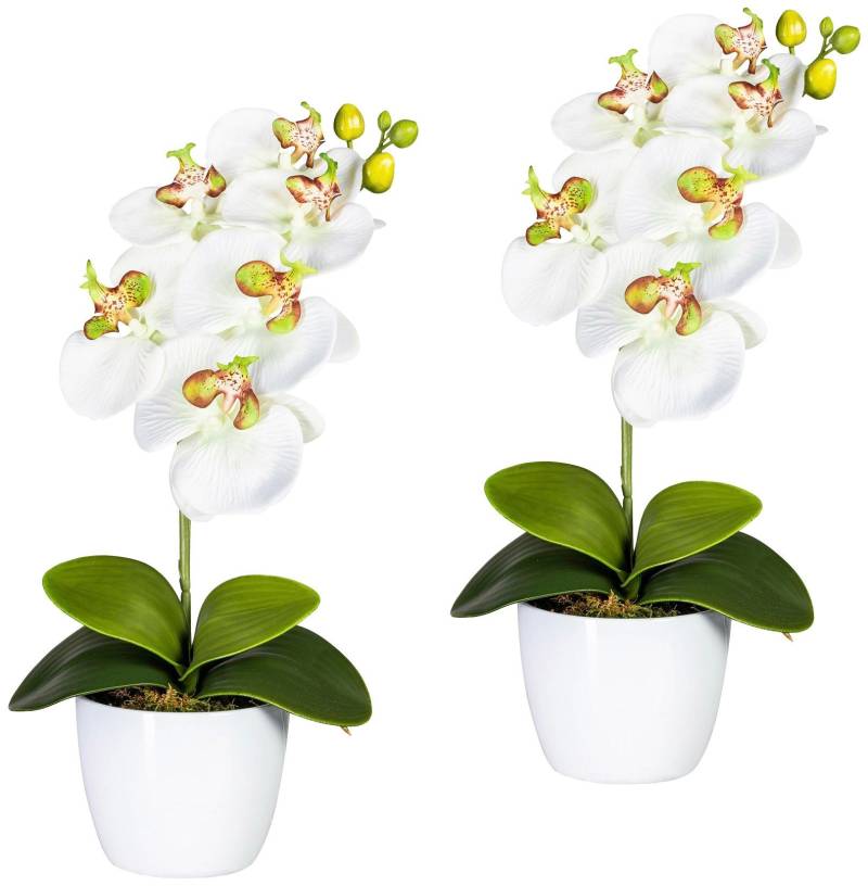 Creativ green Kunstpflanze »Orchidee Phalaenopsis«, im Keramiktopf von Creativ green