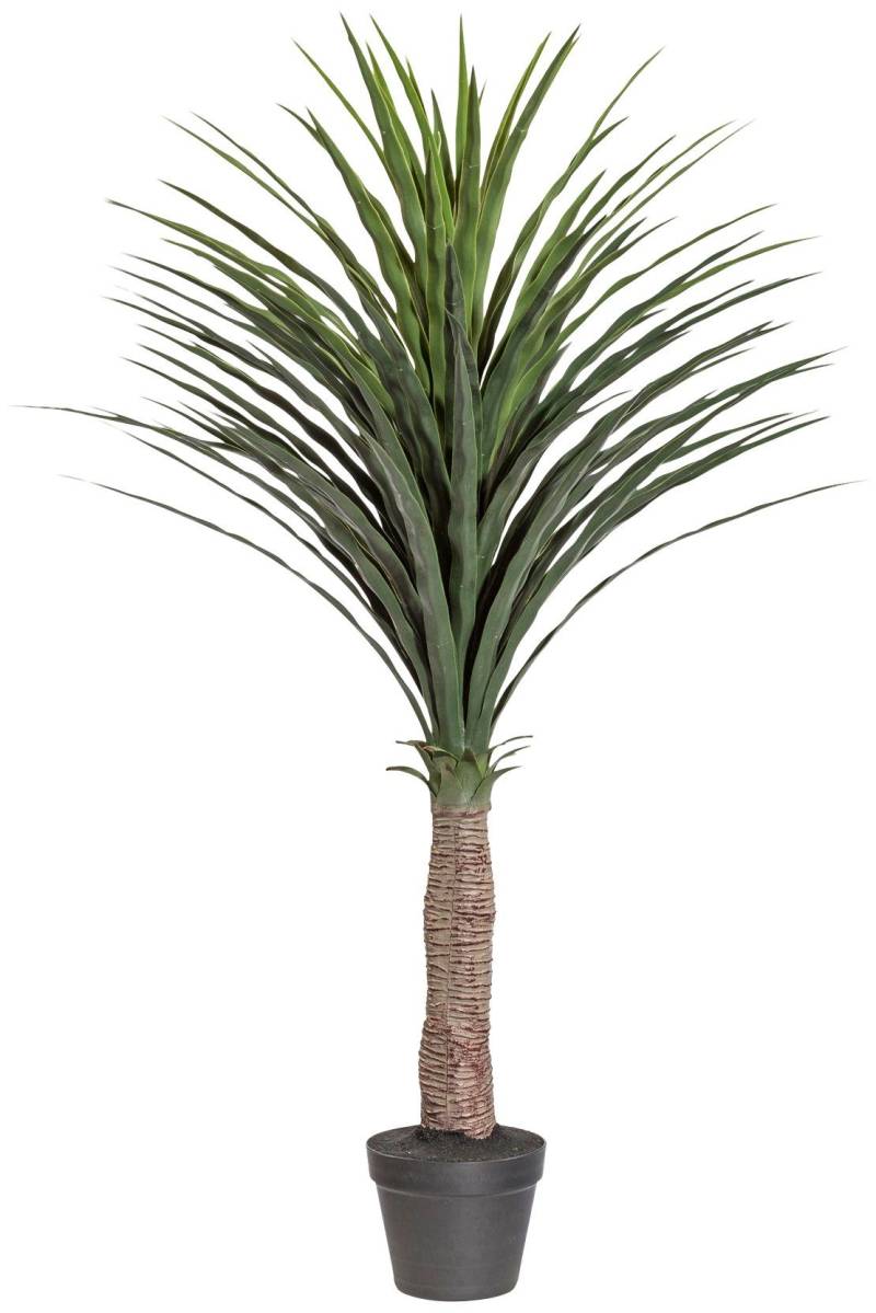 Creativ green Kunstpalme »Palme Yucca«, im Kunststofftopf von Creativ green