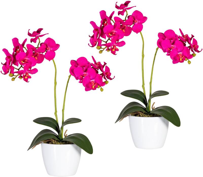 Creativ green Kunstpflanze »Phalaenopsis« von Creativ green