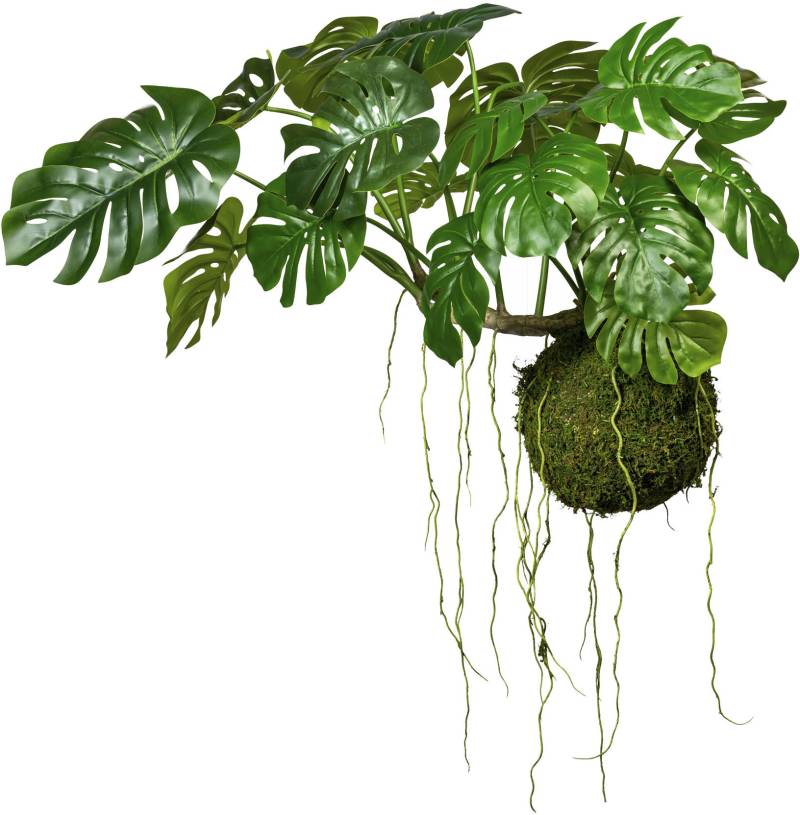 Creativ green Kunstpflanze »Splitphilodendron« von Creativ green