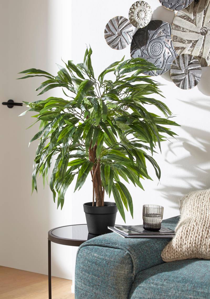 Creativ green Kunstpflanze »Weeping-Ficus« von Creativ green