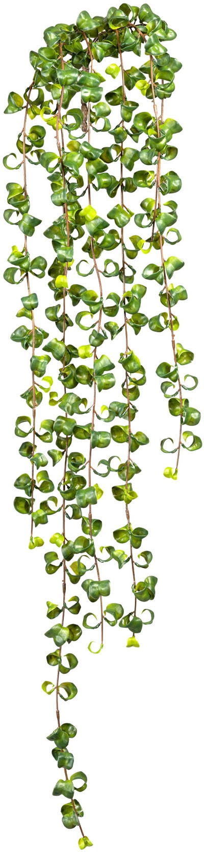 Creativ green Kunstranke »Ficus Barock Blatthänger« von Creativ green