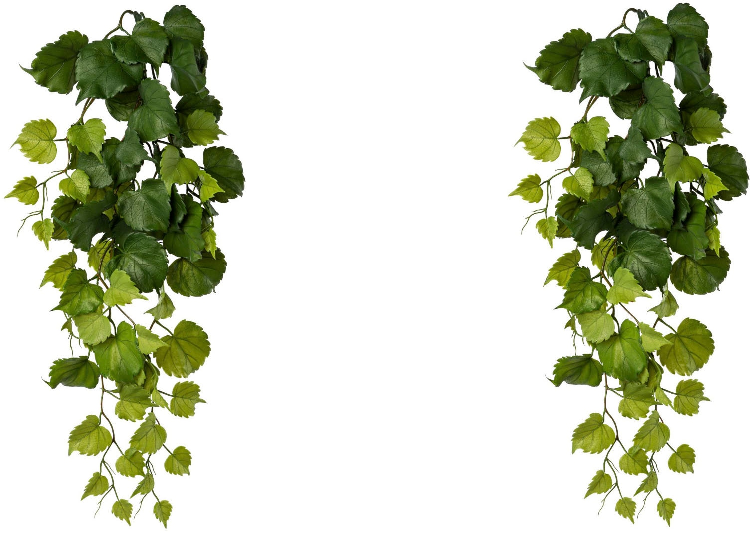 Creativ green Kunstranke »Hängezweig Pappelblatt« Creativ green Kunstranke »Hängezweig Pappelblatt« von Creativ green