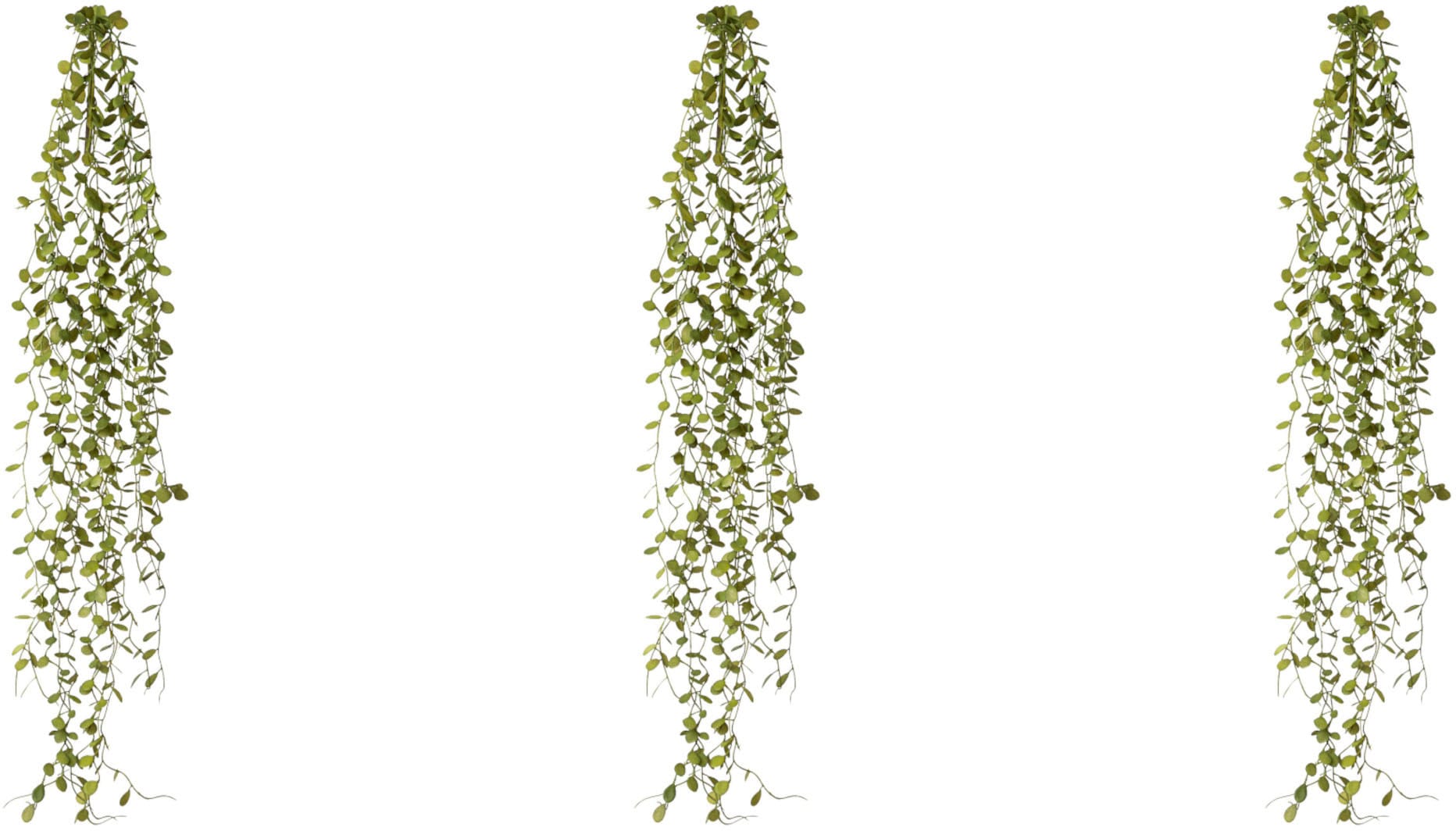 Creativ green Kunstranke »Mühlenbeckia-Hänger« Creativ green Kunstranke »Mühlenbeckia-Hänger« von Creativ green