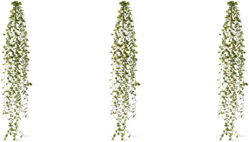 Creativ green Kunstranke »Mühlenbeckia-Hänger« von Creativ green