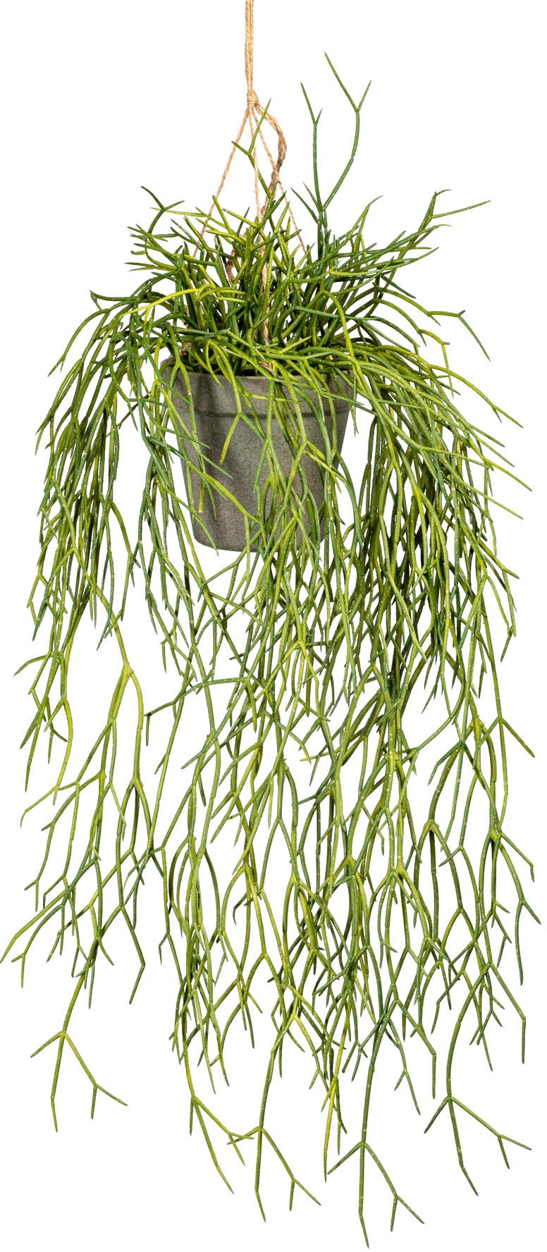 Creativ green Kunstranke »Rhipsalishänger« Creativ green Kunstranke »Rhipsalishänger« von Creativ green