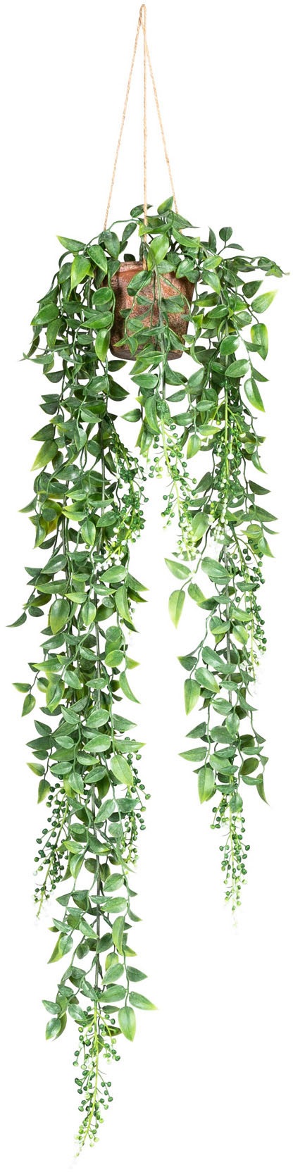 Creativ green Kunstranke »Ruscus-Hängeampel« Creativ green Kunstranke »Ruscus-Hängeampel« von Creativ green