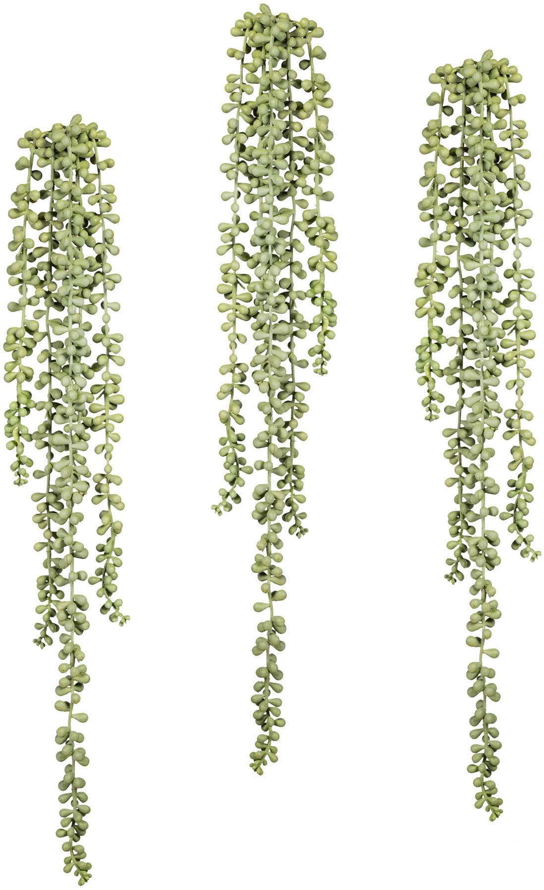 Creativ green Kunstranke »Sedumhänger«, 3er Set Creativ green Kunstranke »Sedumhänger«, 3er Set von Creativ green