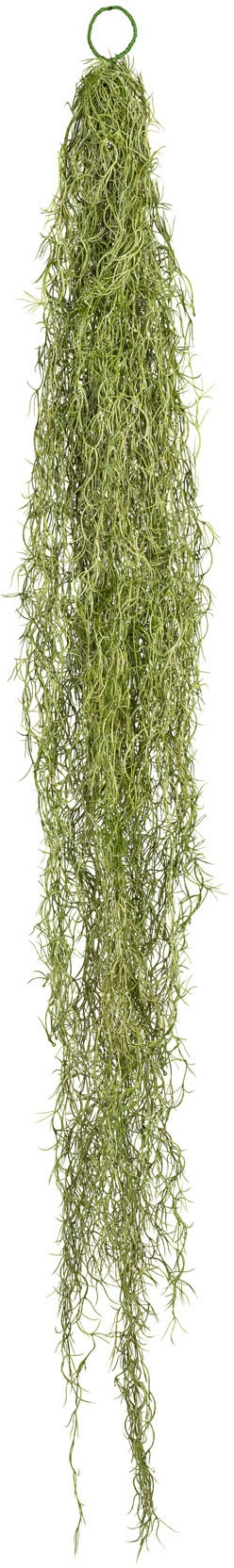 Creativ green Kunstranke »Tillandsienhänger« Creativ green Kunstranke »Tillandsienhänger« von Creativ green