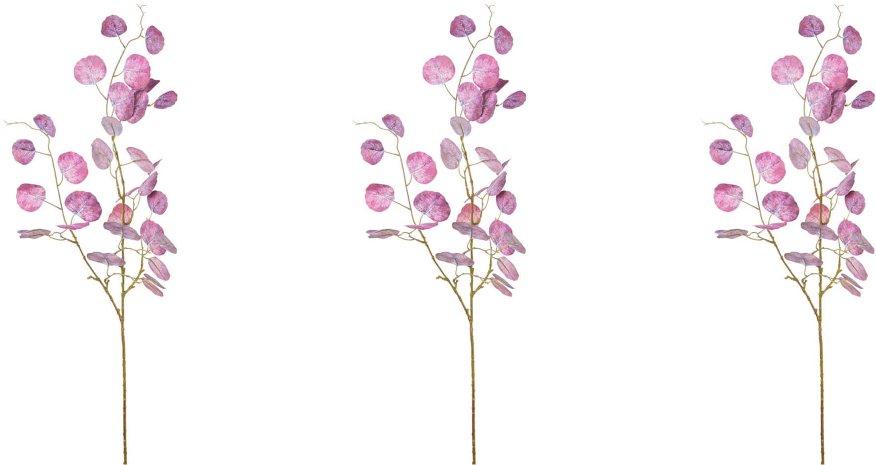 Creativ green Kunstzweig »Eukalypthus-Zweig« Creativ green Kunstzweig »Eukalypthus-Zweig« von Creativ green
