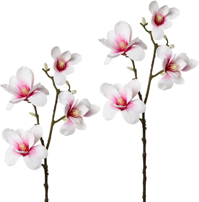 Creativ green Kunstzweig »Zweig Magnolie«, 2er Set von Creativ green