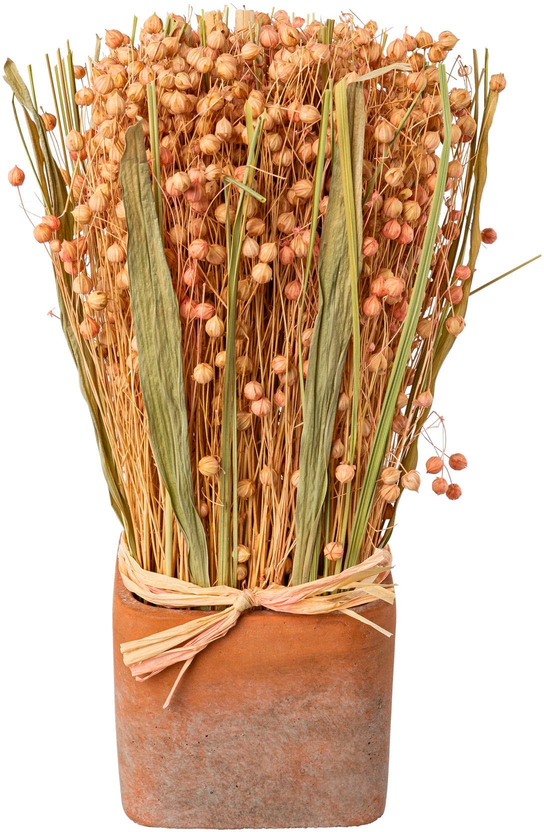 Creativ home Trockenblume »Trockenblumen imTopf« Creativ home Trockenblume »Trockenblumen imTopf« von Creativ home