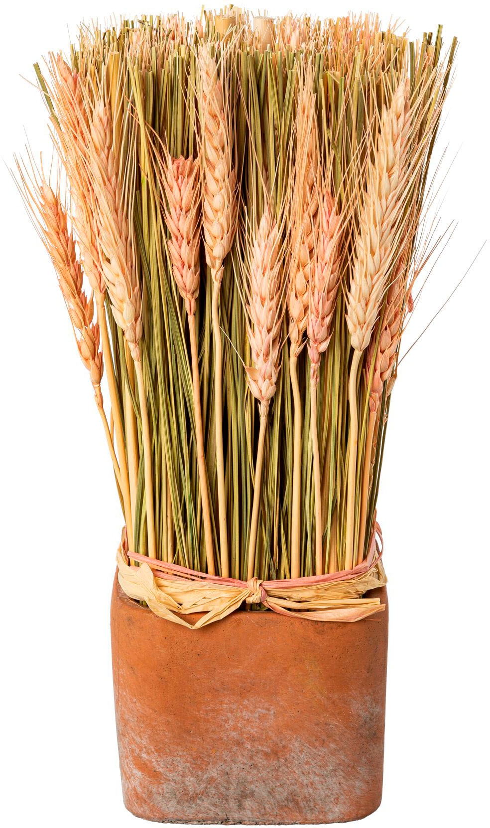 Creativ home Trockenblume »Trockenblumen imTopf« Creativ home Trockenblume »Trockenblumen imTopf« von Creativ home