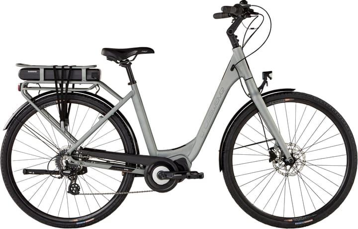 Crosswave Comfort Wave E-Bike 25km/h silber von Crosswave