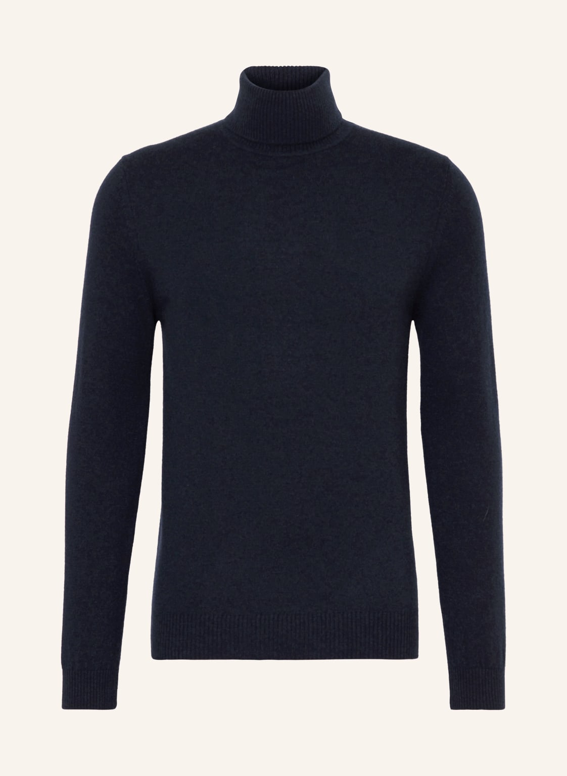 Daniele Fiesoli Rollkragenpullover Aus Cashmere blau von DANIELE FIESOLI