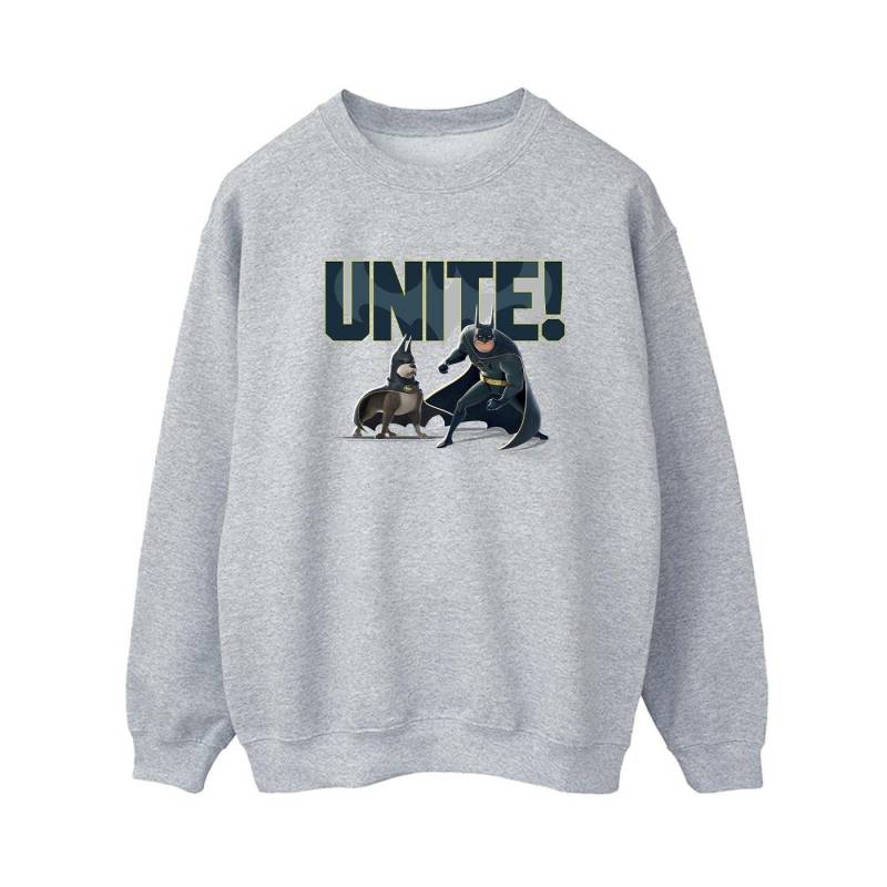 Dc League Of Superpets Unite Pair Sweatshirt Damen Grau M von DC COMICS