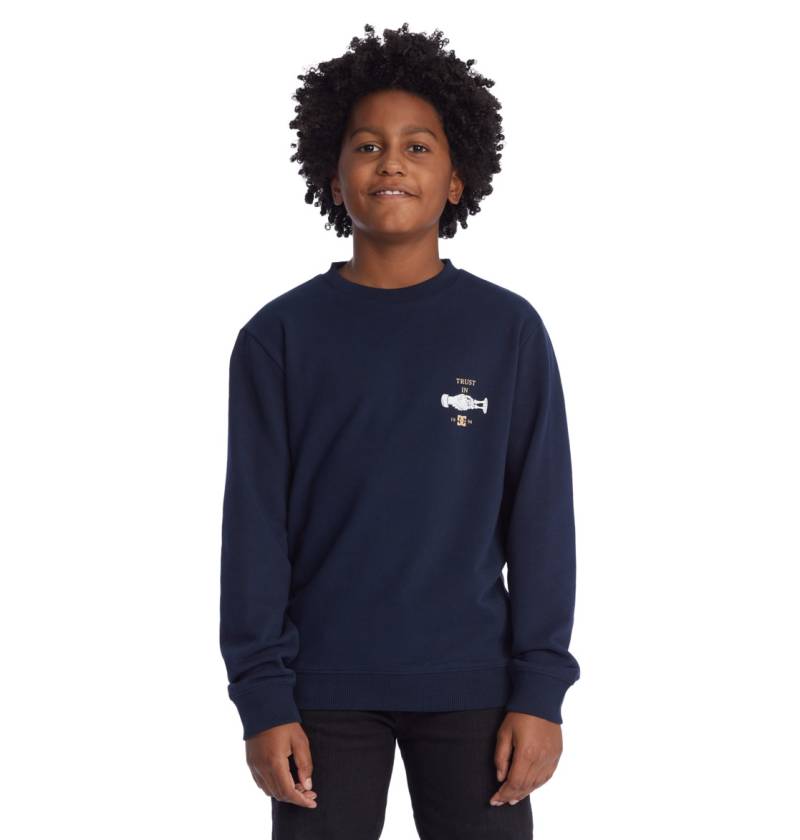 DC Shoes Sweatshirt »Trust Us« von DC Shoes