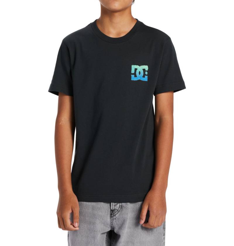 DC Shoes T-Shirt »Playtime« von DC Shoes