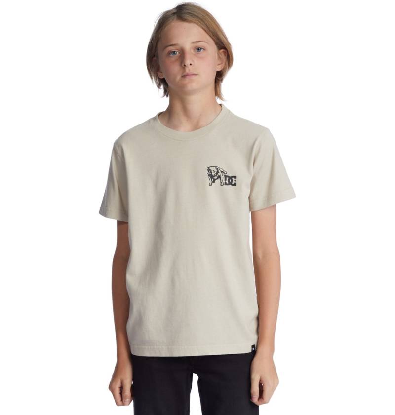 DC Shoes T-Shirt »Watch Dawg« von DC Shoes