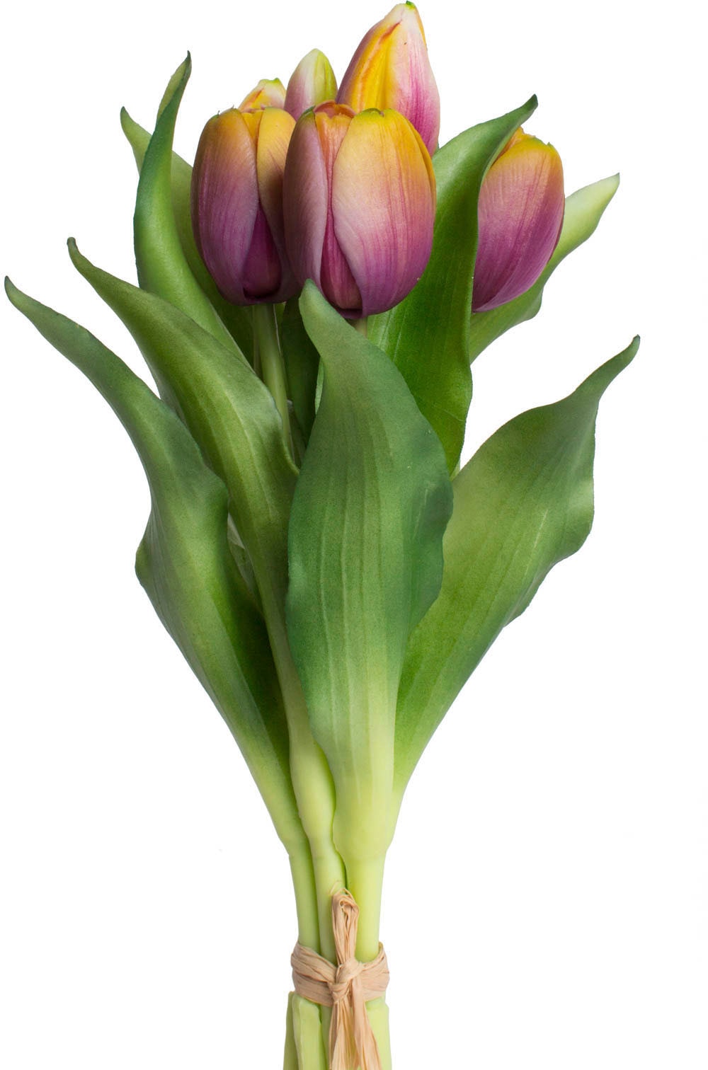 Botanic-Haus Kunstblume »Willa«, Tulpenbündel im 7er-Set Botanic-Haus Kunstblume »Willa«, Tulpenbündel im 7er-Set von Botanic-Haus