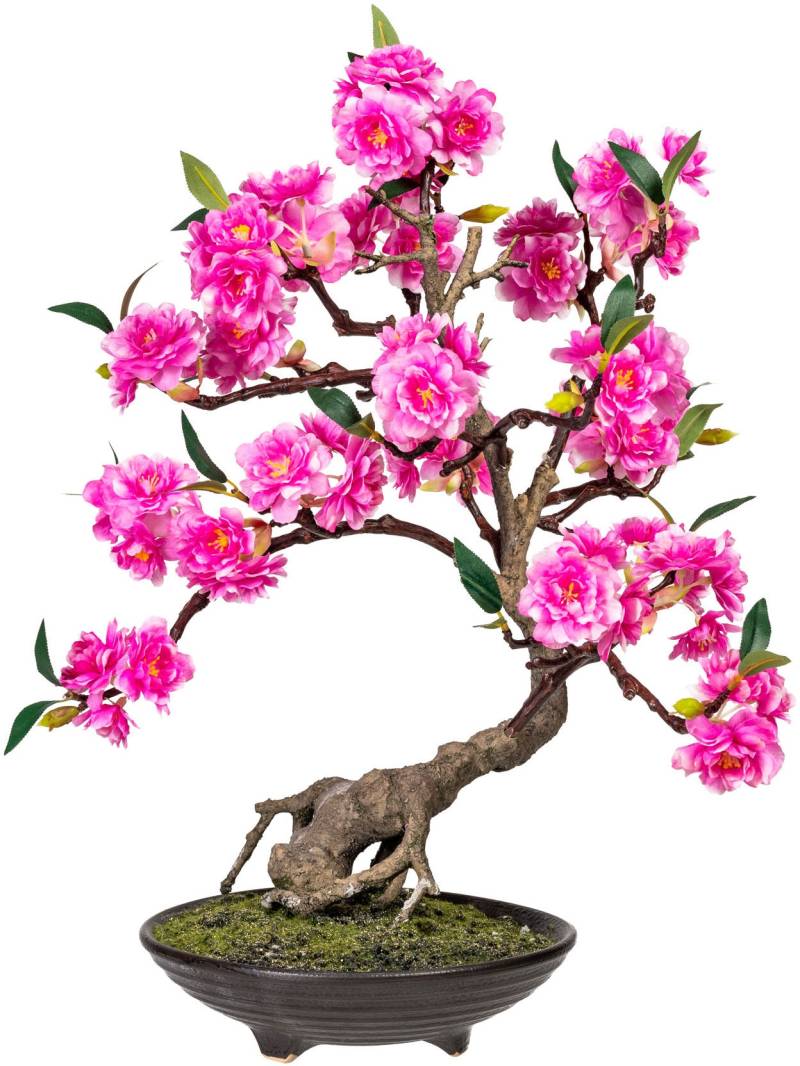 DELAVITA Kunstbonsai »Margarete«, Kunstpflanze, im Topf von DELAVITA