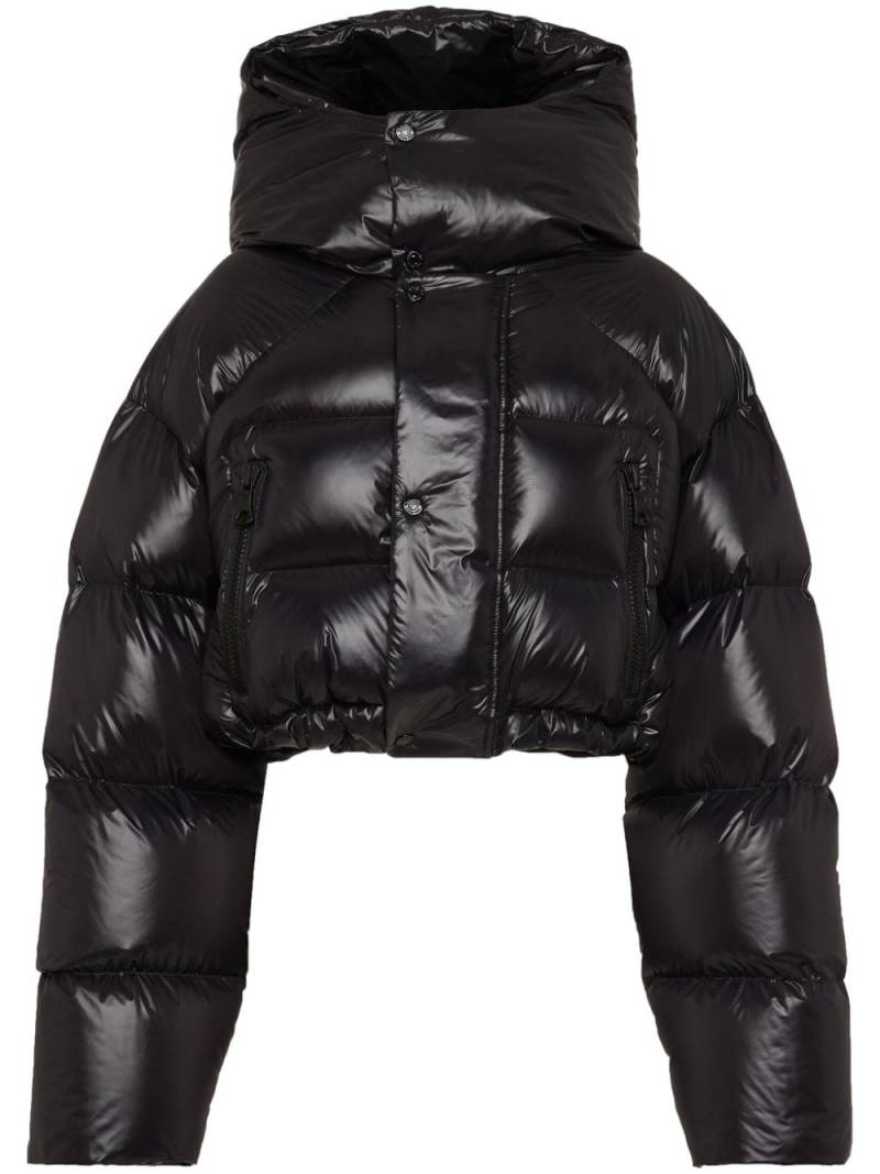 DSQUARED2 Icon cropped puffer jacket - Black von DSQUARED2