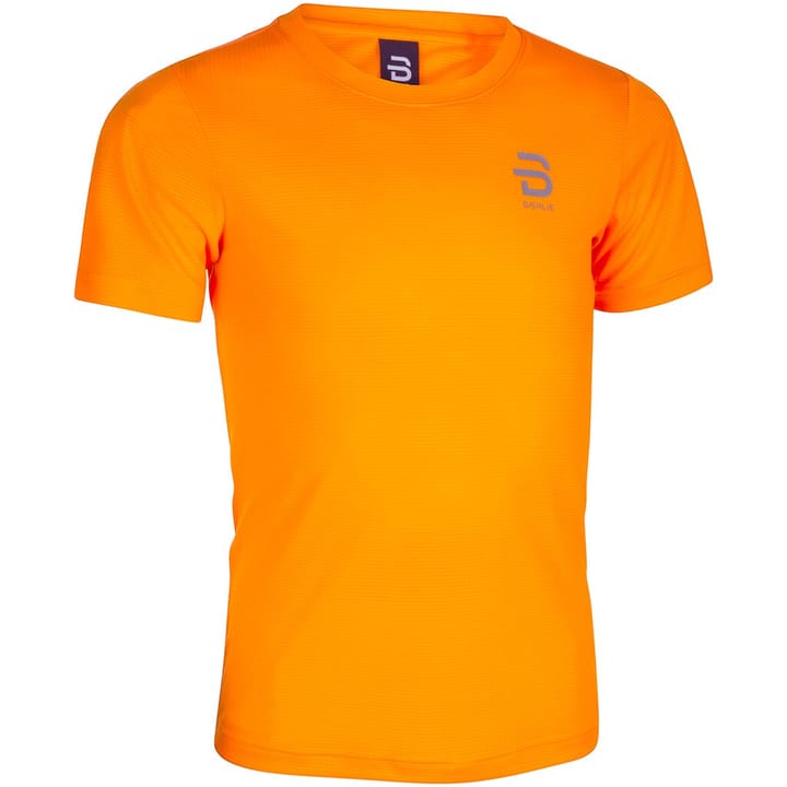 Daehlie Jr T-Shirt Primary T-Shirt orange von Daehlie