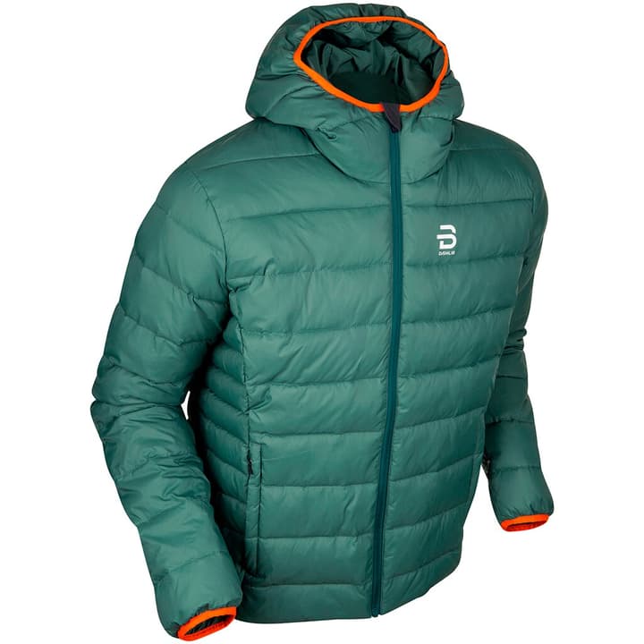 Daehlie M Jacket Frost Langlaufjacke smaragd von Daehlie