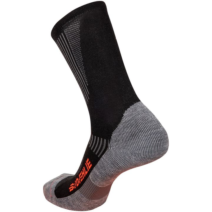 Daehlie Sock Active Wool Socken schwarz von Daehlie