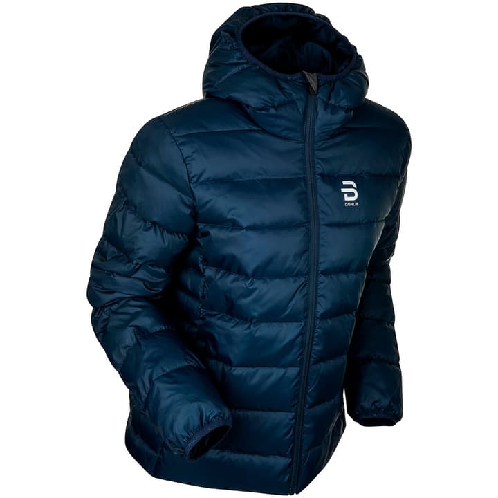 Daehlie W Jacket Frost Langlaufjacke dunkelblau von Daehlie