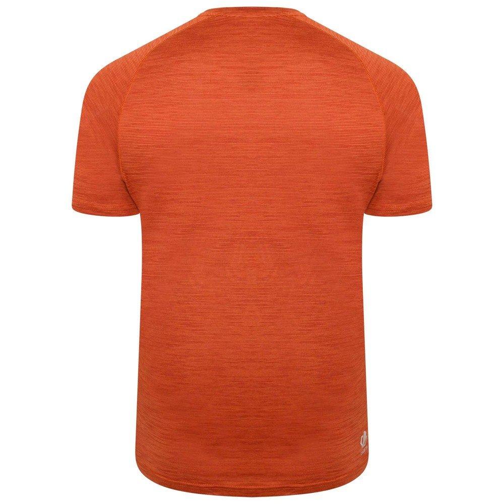 Persist Tshirt Herren Apricot XL von Dare 2B