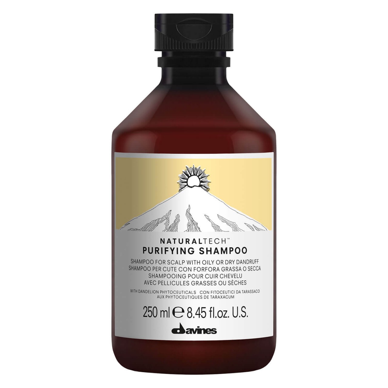 Naturaltech - Purifying Shampoo von Davines