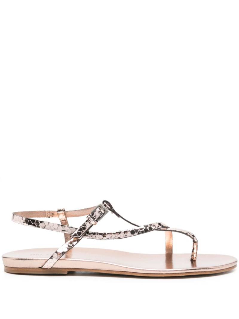 Del Carlo Viper flat sandals - Pink von Del Carlo