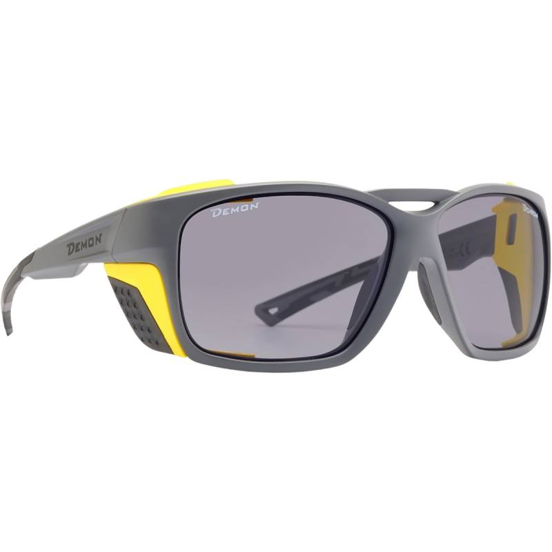 Demon Nature Photochromic 2-4 Gletscherbrille von Demon