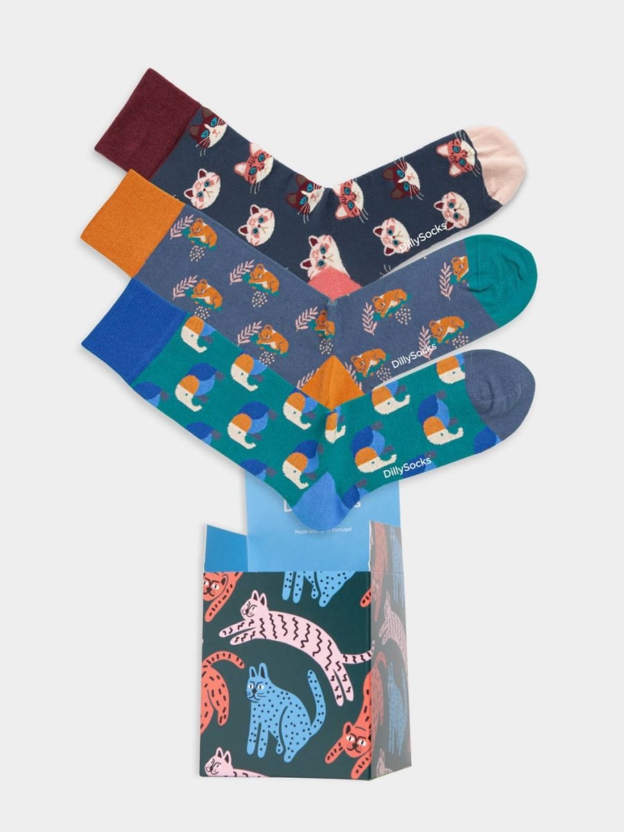 - Socken-Geschenkbox in Bunt mit Tier Katze Elefant Koala Motiv/Muster von DillySocks