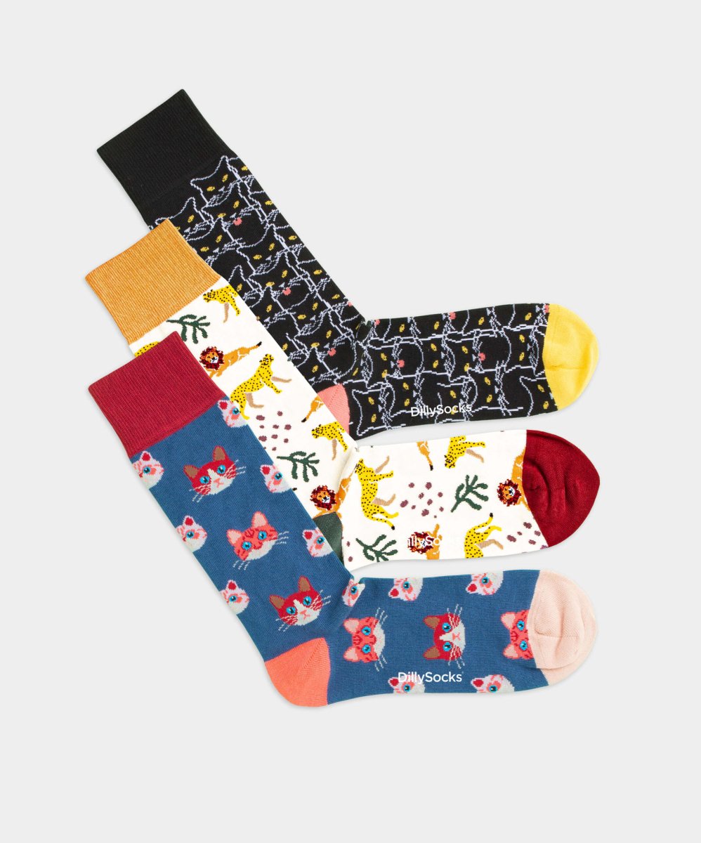 - Socken-Sets in Bunt mit Tier Katze Motiv/Muster - Socken-Sets in Bunt mit Tier Katze Motiv/Muster von DillySocks